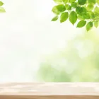 学びを支える取り組み
